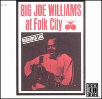 Big Joe Williams - Big Joe Williams at Folk City [live] lyrics