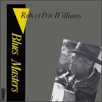 Robert Pete Williams - Blues Masters lyrics