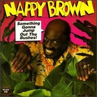 Nappy Brown - Something Gonna Jump out the Bushes lyrics