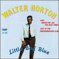 Big Walter Horton - Little Boy Blue [live] lyrics