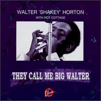 Big Walter Horton - They Call Me Big Walter lyrics