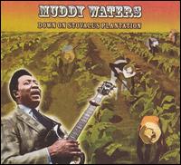 Muddy Waters - Down on Stovall's Plantation lyrics