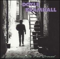 Doyle Bramhall - Bird Nest on the Ground lyrics