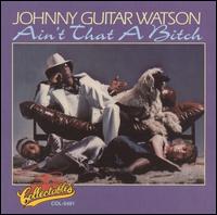 Johnny "Guitar" Watson - Ain't That a Bitch lyrics
