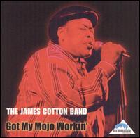 James Cotton - Got My Mojo Workin' lyrics