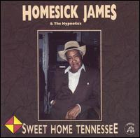 Homesick James Williamson - Sweet Home Tennessee lyrics