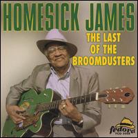 Homesick James Williamson - Last of the Broomdusters lyrics