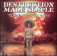 Destruction Made Simple - Terror Stricken Youth lyrics