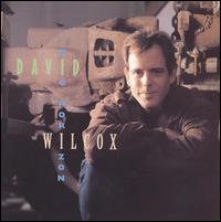 David Wilcox - Big Horizon lyrics