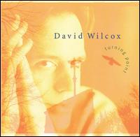 David Wilcox - Turning Point lyrics