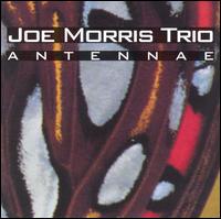 Joe Morris - Antennae lyrics