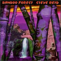 Steve Reid - Bamboo Forest lyrics