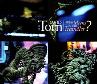 David Torn - What Means Solid, Traveller? lyrics