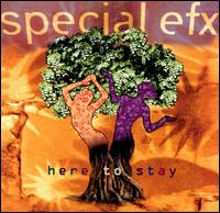 Special EFX - Here to Stay lyrics