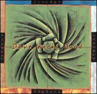Dave Weckl - Synergy lyrics