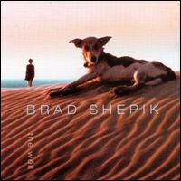Brad Shepik - The Well lyrics