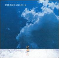 Brad Shepik - Drip lyrics