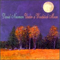 David "Fathead" Newman - Under a Woodstock Moon lyrics