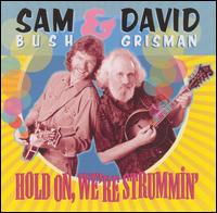 Sam Bush - Hold On, We're Strummin' lyrics