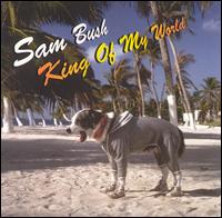 Sam Bush - King of My World lyrics
