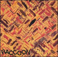 Raccoon - Strange Terrain lyrics