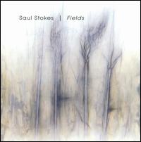 Saul Stokes - Fields lyrics