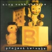 King Cobb Steelie - Project Twinkle lyrics
