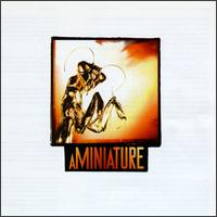 Aminiature - Depth Five Rate Six lyrics