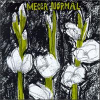 Mecca Normal - Mecca Normal (1st Album) lyrics