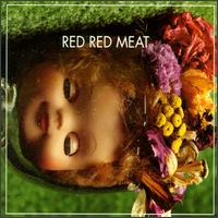 Red Red Meat - Bunny Gets Paid lyrics