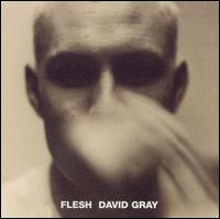 David Gray - Flesh lyrics