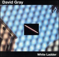 David Gray - White Ladder lyrics