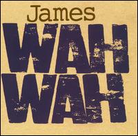 James - Wah Wah [live] lyrics