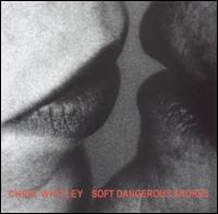 Chris Whitley - Soft Dangerous Shores lyrics