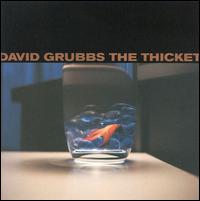 David Grubbs - The Thicket lyrics