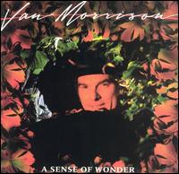 Van Morrison - A Sense of Wonder lyrics