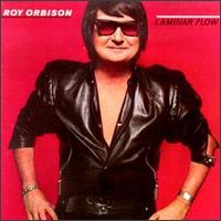 Roy Orbison - Laminar Flow lyrics