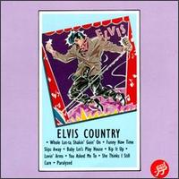 Elvis Presley - Elvis Country (I'm 10,000 Years Old) lyrics
