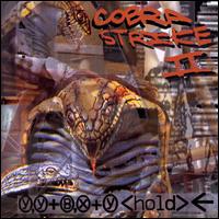 Cobra Strike - Cobra Strike II: Y, Y+B, X+Y lyrics