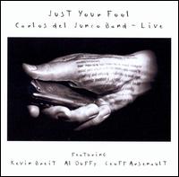 Carlos del Junco Band - Just Your Fool lyrics