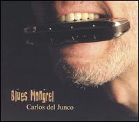 Carlos del Junco Band - Blues Mongrel lyrics