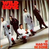 da Wild Boyz - It Had to Be Done lyrics