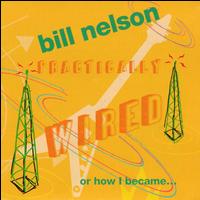 Bill Nelson - Practically Wired...Or How I Became Guitarboy lyrics