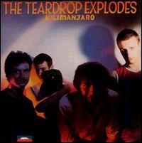 The Teardrop Explodes - Kilimanjaro lyrics