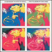 The Teardrop Explodes - Everybody Wants to Shag...the Teardrop Explodes lyrics