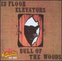 13th Floor Elevators - Bull of the Woods lyrics