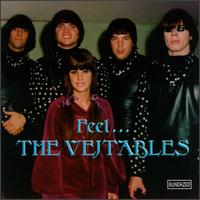 The Vejtables - Feel...The Vejtables lyrics