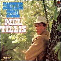 Mel Tillis - Something Special lyrics