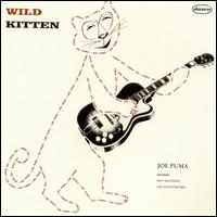 Joe Puma - Wild Kitten lyrics