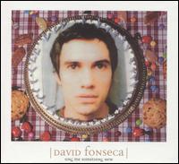 David Fonseca - Sing Me Something New lyrics